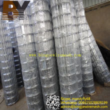 Heavy Galvanized Welded Wire Mesh